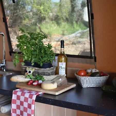Safari Plataan Lyxtält Castex (Gers)